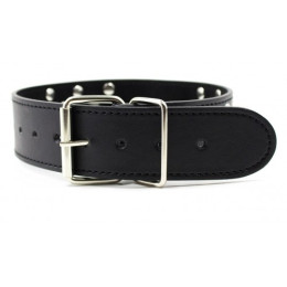 Ошейник с металлическими заклепками и поводком