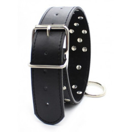 Ошейник с металлическими заклепками и поводком