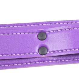 Фиолетовый ошейник с зажимами для сосков