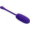 Перезаряжаемое виброяйцо Pretty Love Julius Purple