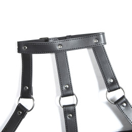 Сбруя с ошейником декорированная металлическими цепочками