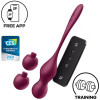 Вагинальные смарт-шарики с вибрацией и сменными утяжелителями Satisfyer Love Birds Vary бордовый