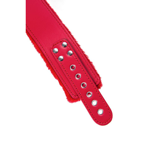 Ошейник TOYFA Basic, PU кожа, красный, 43 см