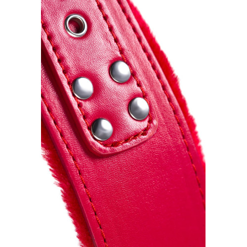 Ошейник TOYFA Basic, PU кожа, красный, 43 см