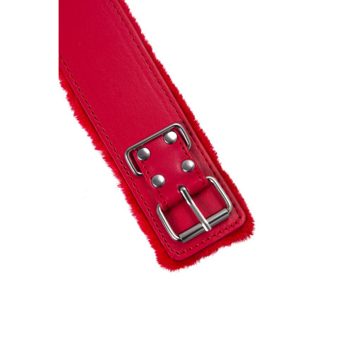 Ошейник TOYFA Basic, PU кожа, красный, 43 см