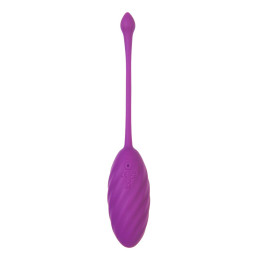 Виброяйцо A-Toys by TOYFA Purr, силикон, фиолетовый, 18 см