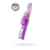Вибратор с клиторальным стимулятором A-Toys by TOYFA High-Tech fantasy, TPE, фиолетовый, 22, 5 см