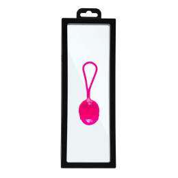 Рамка для выкладки прозрачная с черным кантом с еврослотом 23*9