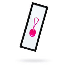 Рамка для выкладки прозрачная с черным кантом под подставку 23*9