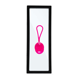 Рамка для выкладки прозрачная с черным кантом под подставку 23*9