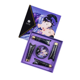 Набор Shunga «Секрет Гейши» (Geisha's Secret), 5 средств, аромат экзотические фрукты