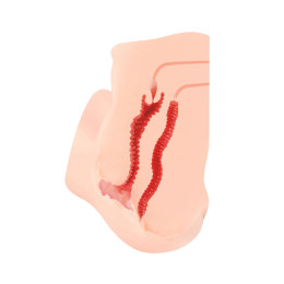 Мастурбатор реалистичный с вибрацией  KOKOS HANNA ONAHOLE 001, TPR, телесный, 36,5 см