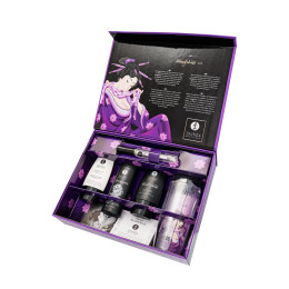 Подарочный набор Shunga Naughter Kit, 5 средств