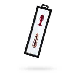 Рамка для выкладки прозрачная с черным кантом с еврослотом 30*9