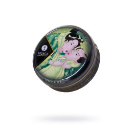 Массажное аромамасло в виде свечи Shunga «Спокойствие. Зеленый чай»(Zenitude.Exotic Green Tea), 30мл