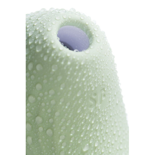 Вакуум-волновой бесконтактный стимулятор клитора Satisfyer Pearl Diver, силикон, мятный, 5 см